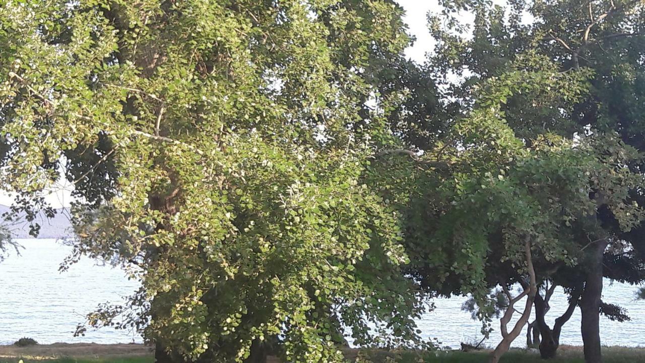 Kaštela Apartmani Vitturi מראה חיצוני תמונה